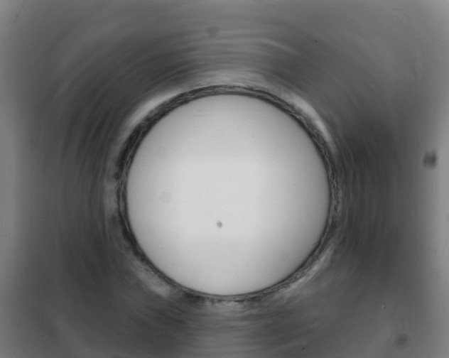 X0000102231019200807250803