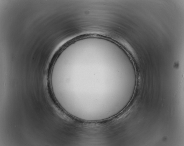 X0000102231020200807250803