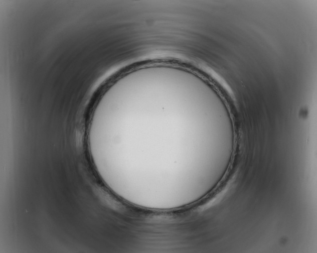 X0000102231021200807250804