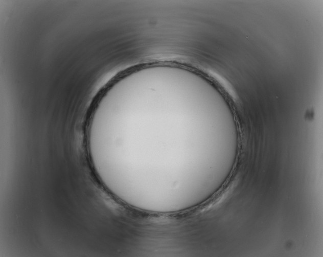 X0000102231023200807250804