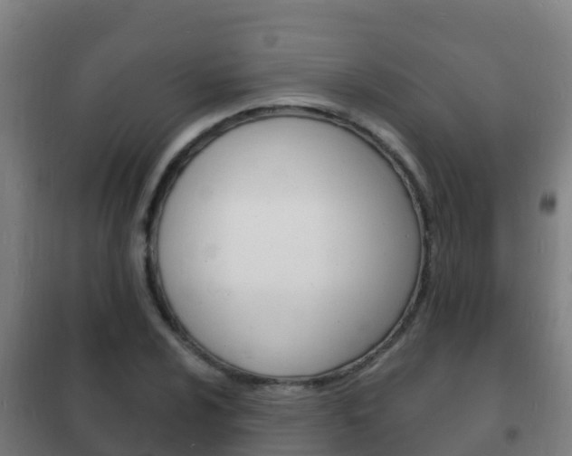 X0000102231024200807250804