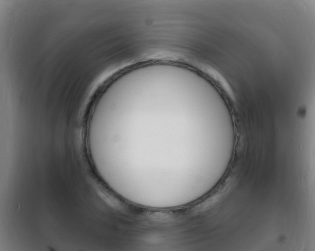 X0000102231027200807250804