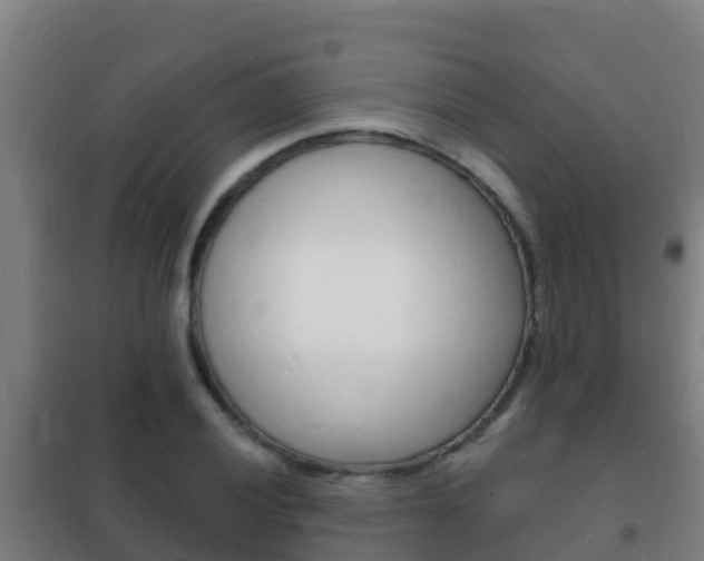 X0000102231028200807250804