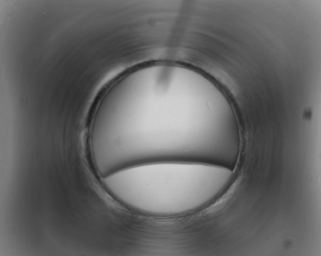 X0000102231029200807250804