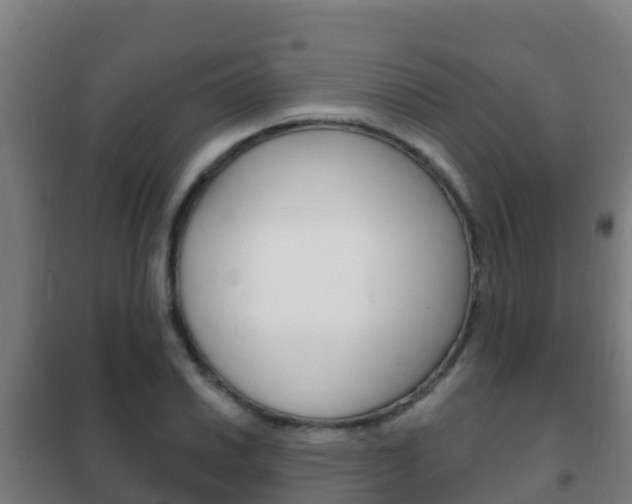 X0000102231030200807250804