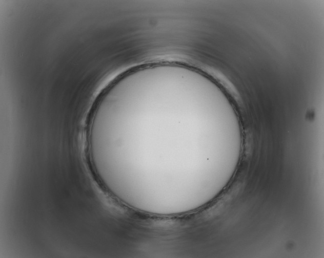 X0000102231031200807250804