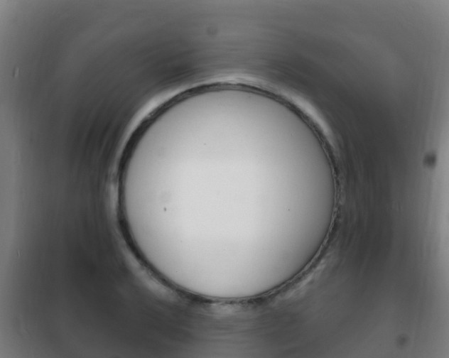 X0000102231032200807250804
