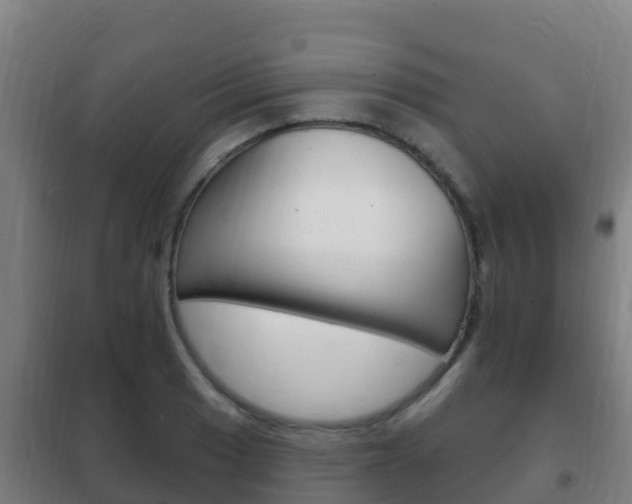 X0000102231033200807250804