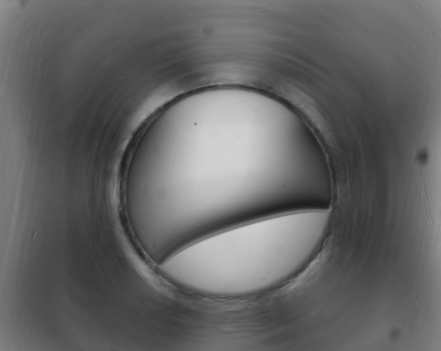 X0000102231034200807250804