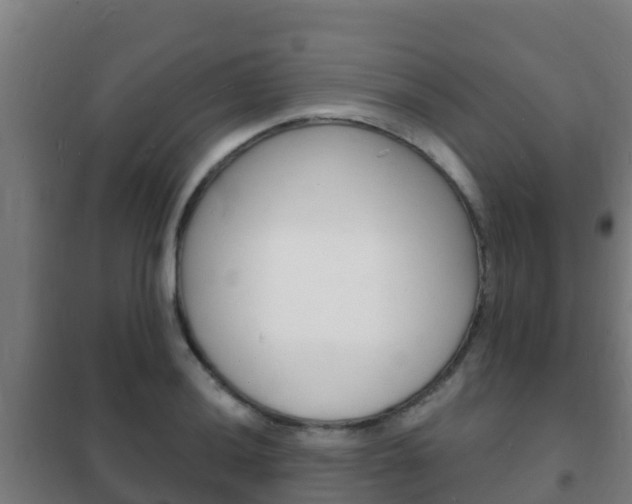 X0000102231036200807250804