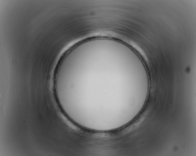 X0000102231037200807250804