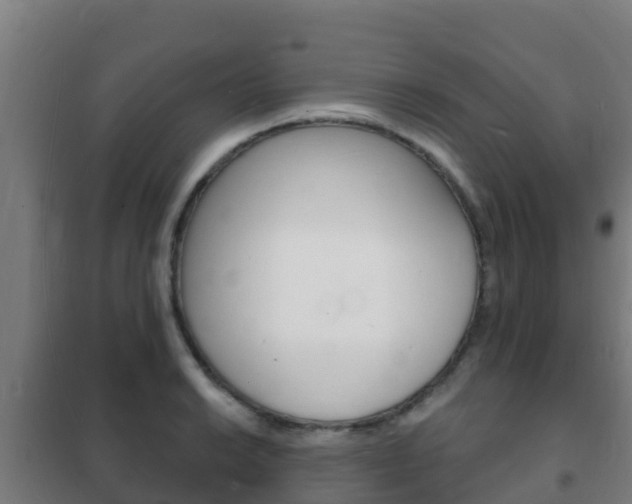 X0000102231038200807250804