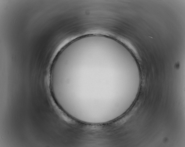 X0000102231040200807250804