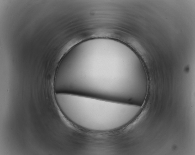 X0000102231041200807250804