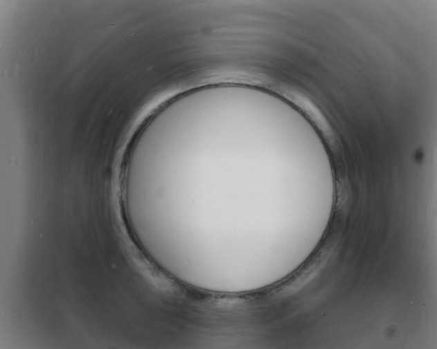 X0000102231043200807250804