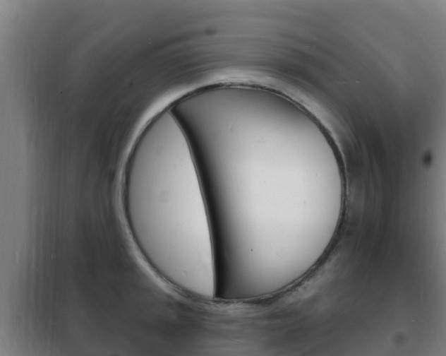 X0000102231045200807250804