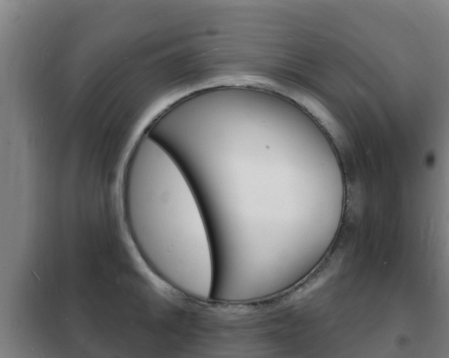 X0000102231046200807250804