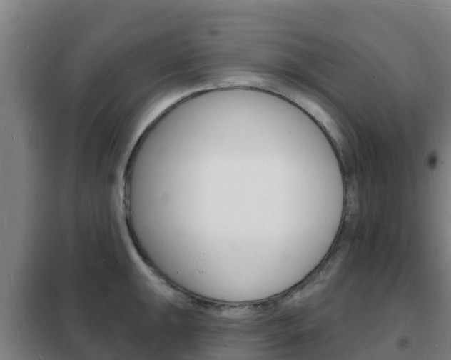 X0000102231047200807250804