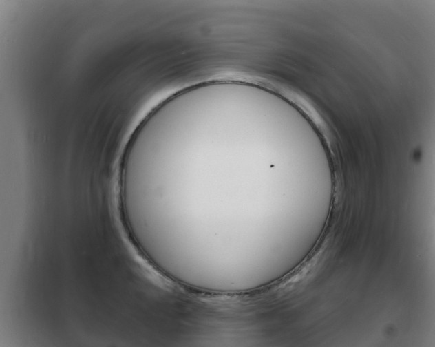 X0000102231048200807250804