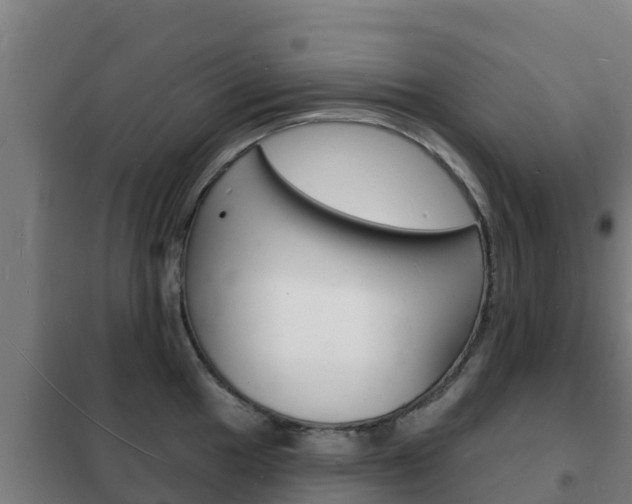 X0000102231049200807250804