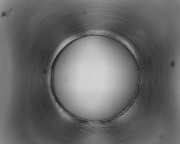 X0000102231050200807250804