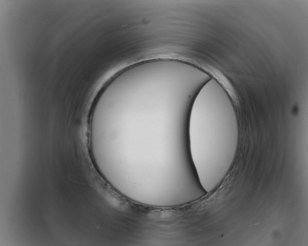 X0000102231051200807250804