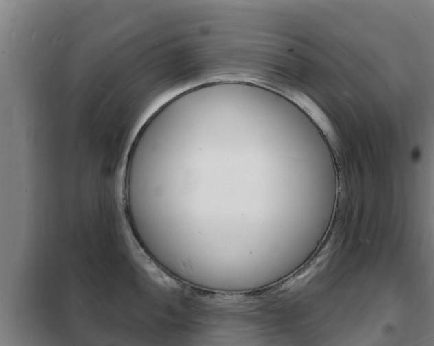 X0000102231052200807250804