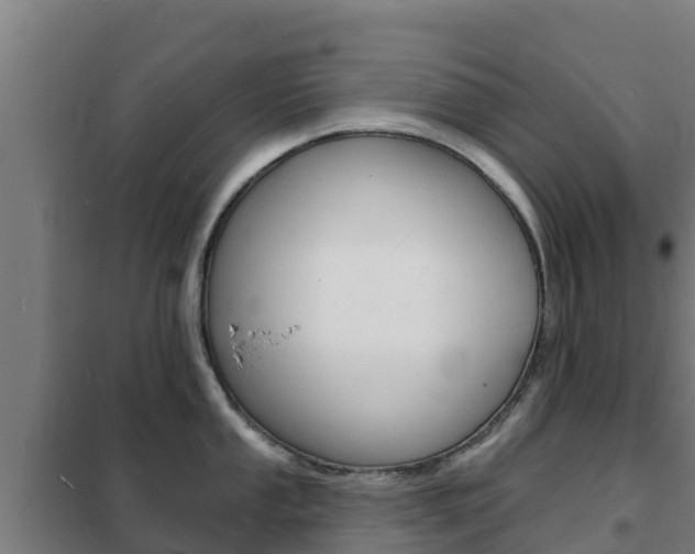X0000102231053200807250804