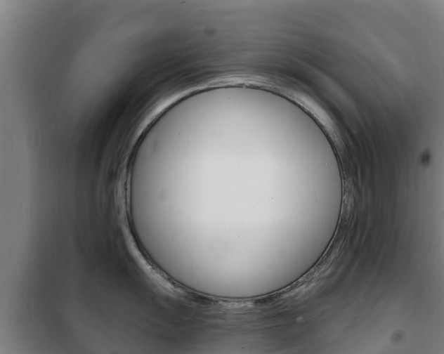 X0000102231055200807250804