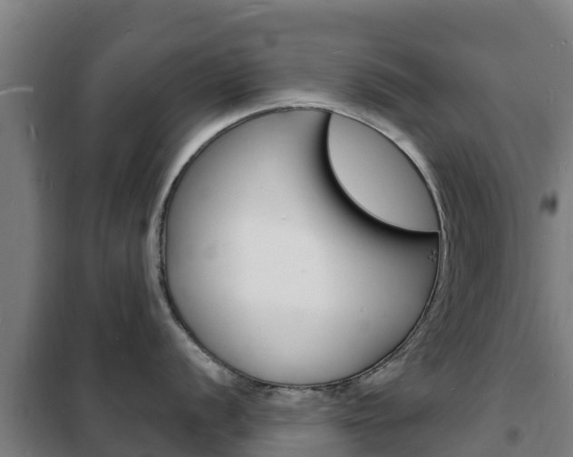 X0000102231056200807250804