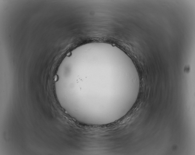 X0000102231057200807250803