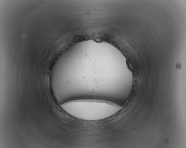 X0000102231058200807250803