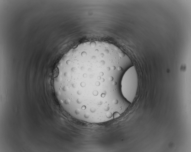 X0000102231059200807250803