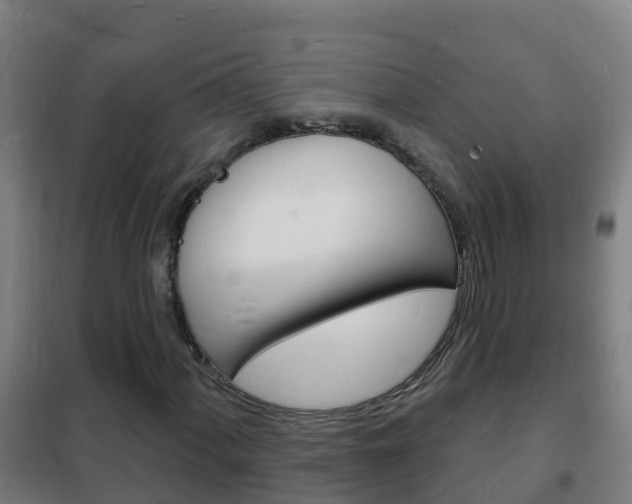 X0000102231060200807250803