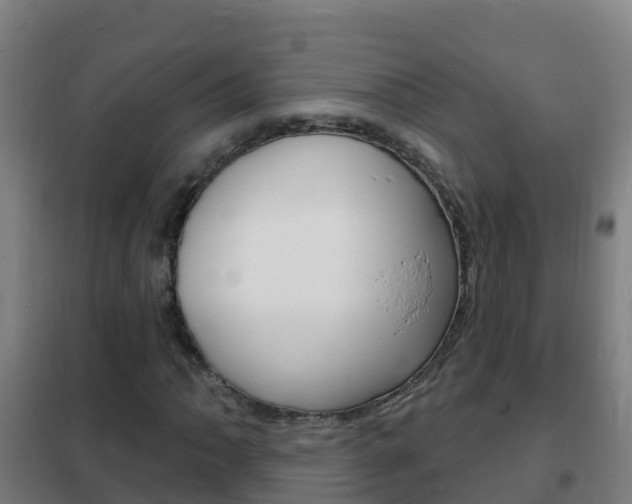 X0000102231062200807250803