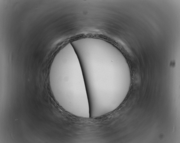 X0000102231063200807250803