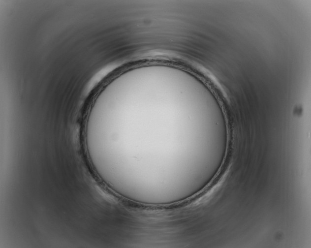 X0000102231066200807250803