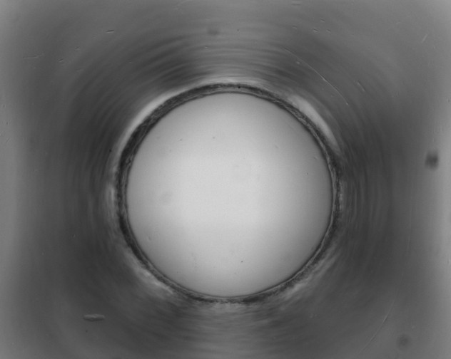 X0000102231068200807250803