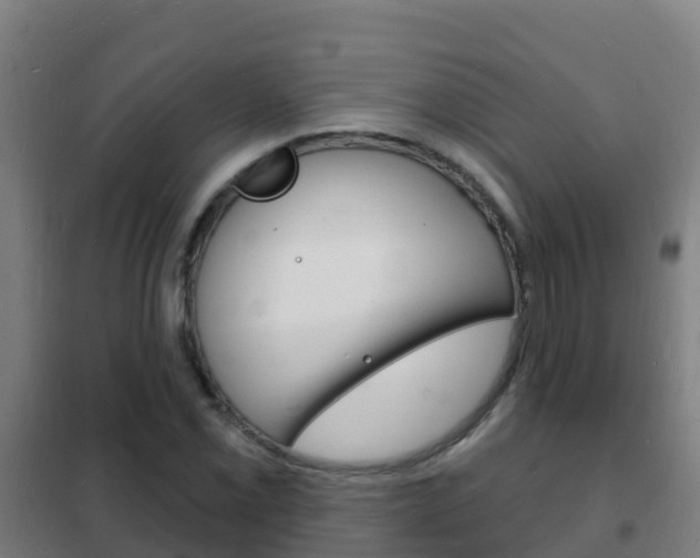 X0000102231069200807250803