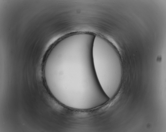X0000102231071200807250803