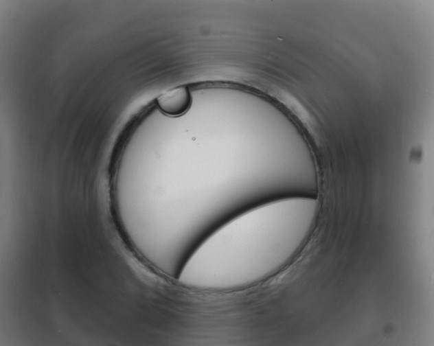 X0000102231072200807250803