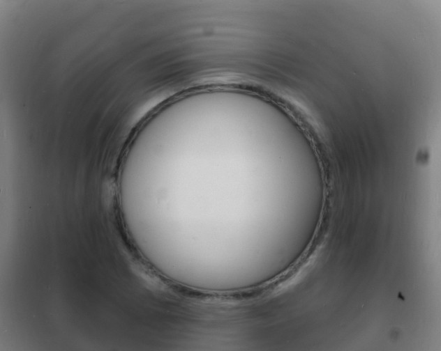 X0000102231073200807250803
