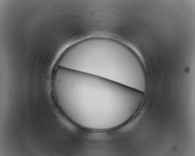 X0000102231075200807250803