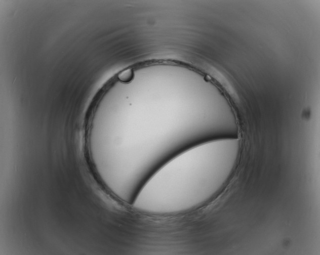 X0000102231076200807250803