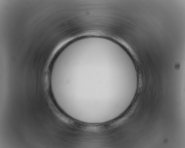 X0000102231078200807250803