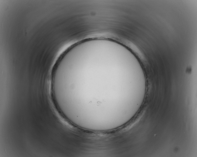 X0000102231079200807250803