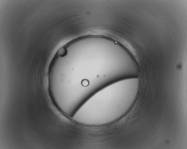 X0000102231080200807250803