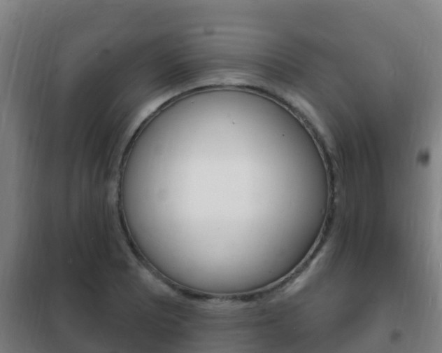 X0000102231081200807250803