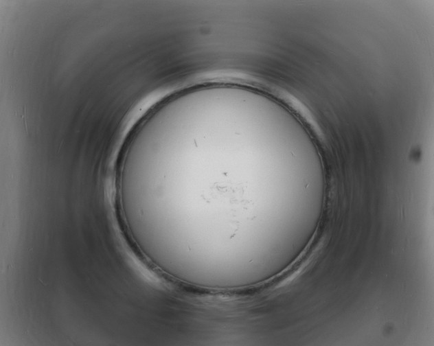 X0000102231082200807250803