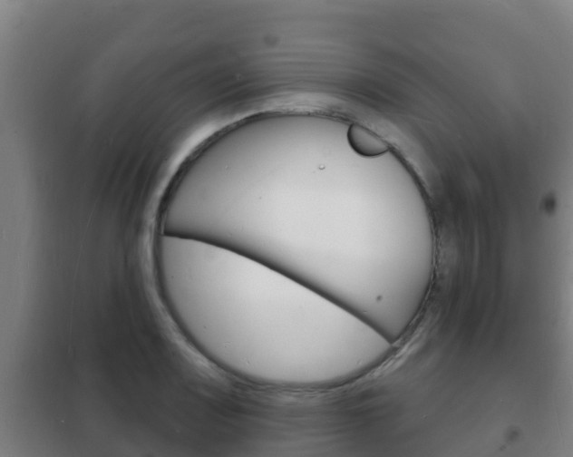 X0000102231083200807250803
